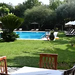 Fiori 2*